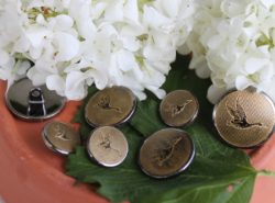 Boutons - Canards en vol 1
