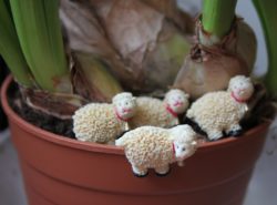Boutons - Moutons 1