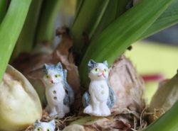 Boutons - Chats 1