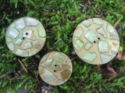 Boutons - Plats avec inclusions de nacre 1
