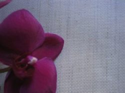 Toile - Aïda chinée 7 points/cm 1