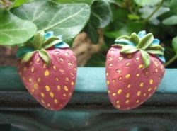 Boutons - Fraises 1