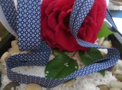 IMG_6355 IMG_6355