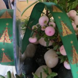Rubans - Sapins or sur satin vert