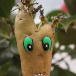 Yeux d'étonnement verts