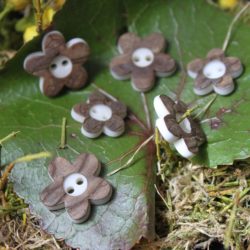 Boutons - Fleurs