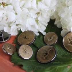 Boutons - Canards en vol