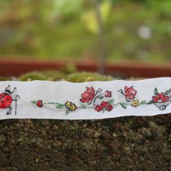 Acufactum - Galon: Coccinelle et sa récolte