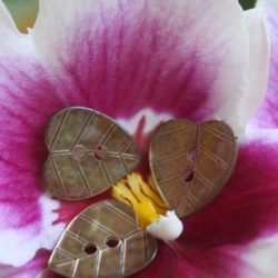 Boutons - Feuilles en nacre