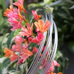 Câble torsadé pour bijoux