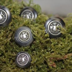 Boutons - Blason v. argent & imitation corne