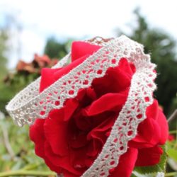 Dentelle