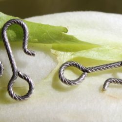Fermoir métal pour bijoux
