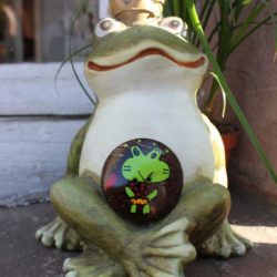 Boutons - Grenouille sur noix de coco