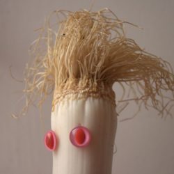 Yeux de chats albinos