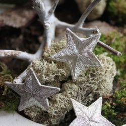 Motif - Etoile argent Ø48mm