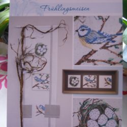 Fiche - ACUFACTUM : Frühlingsmeisen