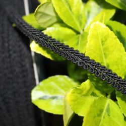 Galon de passementerie