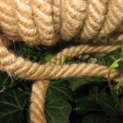 Cordon en jute
