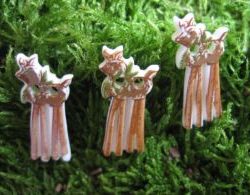 Boutons - Renne