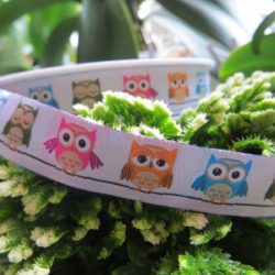 Galon chouettes