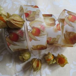 Ruban - Physalis
