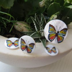 Bouton - Papillon sur nacre