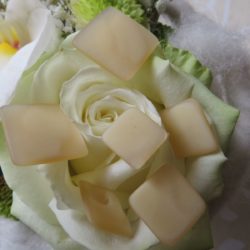 Bouton - Beige, carré plat et mat  