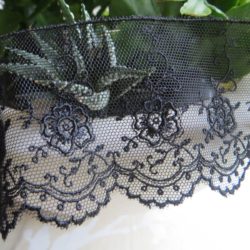Dentelle - Noire festonnée sur tulle