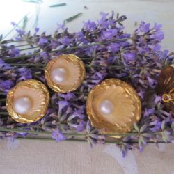 Boutons - coquillages