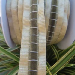 Ruban - Velours tilleul sur beige 
