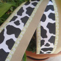Galon - Vache beige