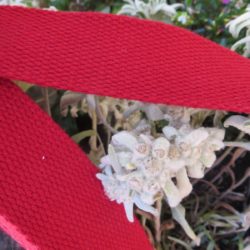 Sangle rouge foncé