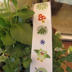 Ruban 4cm - Chouettes, feuilles, champi.....