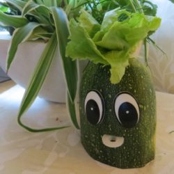 Yeux - Belle Courgette étonnée