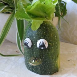 Yeux de Mlle Belle Courgette