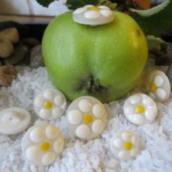 Bouton - Fleur jaune et blanche