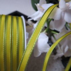 Ruban étroit laitonné, jaune vert
