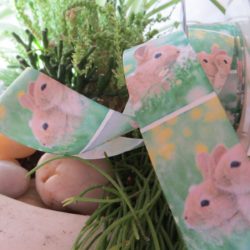 Ruban - Lapins en caval