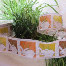 Ruban - Lapins blancs en cube