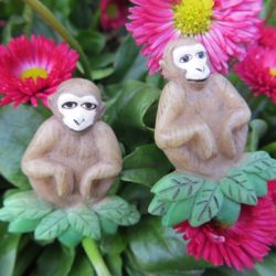 Bouton - Singe au repos