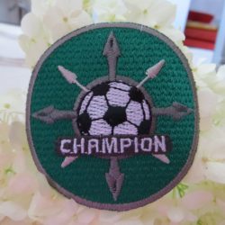 Motif - Champion