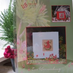 UB Design - Fiche : eine Überraschung