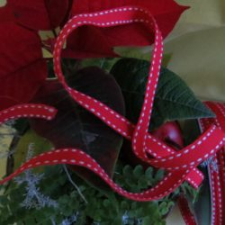 Tresse - Rouge vif surpiquée blanc