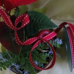 Tresse - Rouge foncé surpiquée écrue