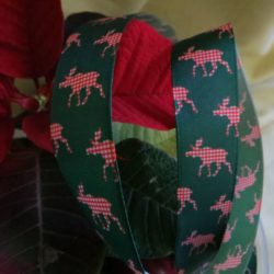 Ruban - Elan vichy rouge sur vert