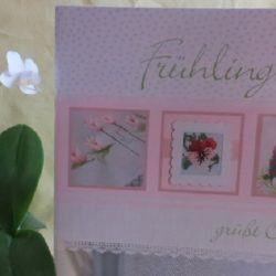 UB Design - Livre "Frühling grüßt Ostern"