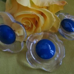 Bouton - Fleur incolore avec centre marine