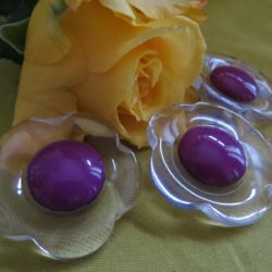 Bouton - Fleur incolore, coeur violine