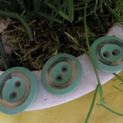 Bouton vintage - Oval vert et couronne incolore